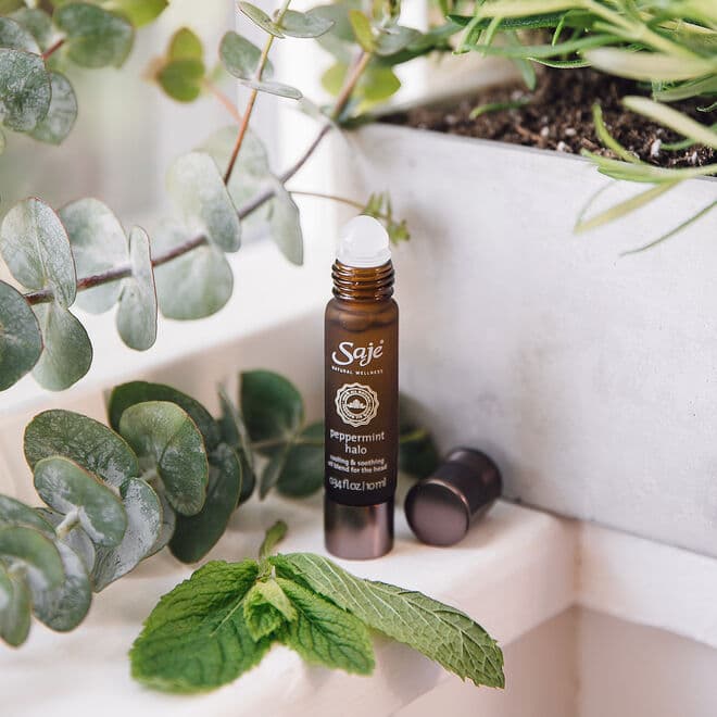 Saje essential oil roller bottle displayed among fresh green plants for a natural aromatherapy and wellness aesthetic