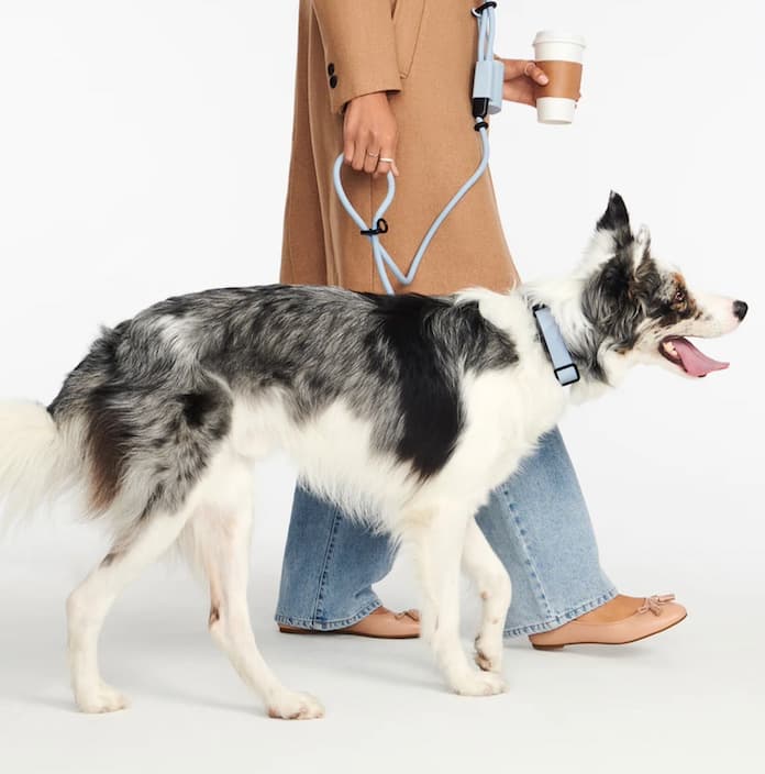 Fable Dog Walking Set