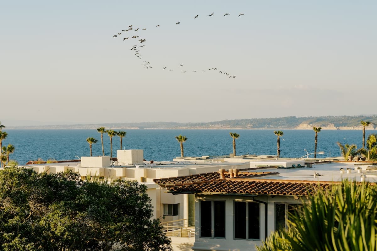 Palm trees and coastal residences sit above the ocean, with distant cliffs stretching along the shoreline.