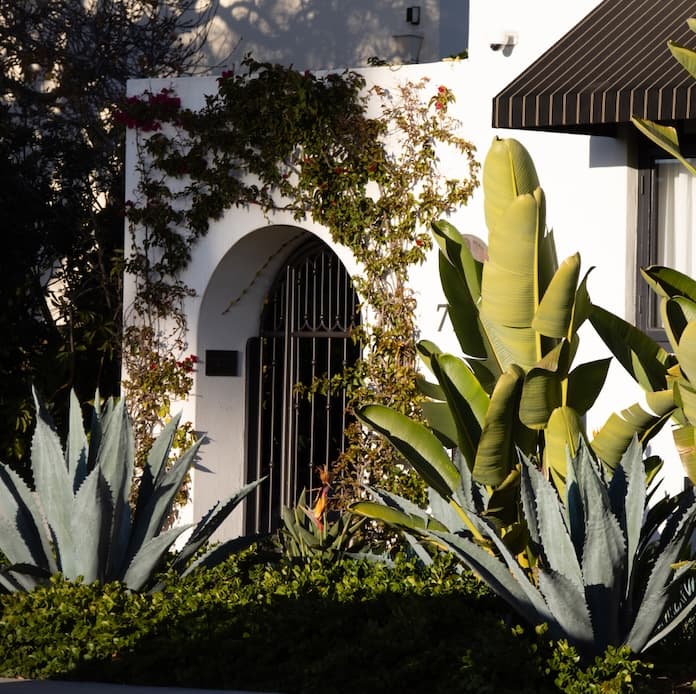 White stucco building entrance with an arched doorway, climbing vines, and lush tropical landscaping in warm afternoon light.