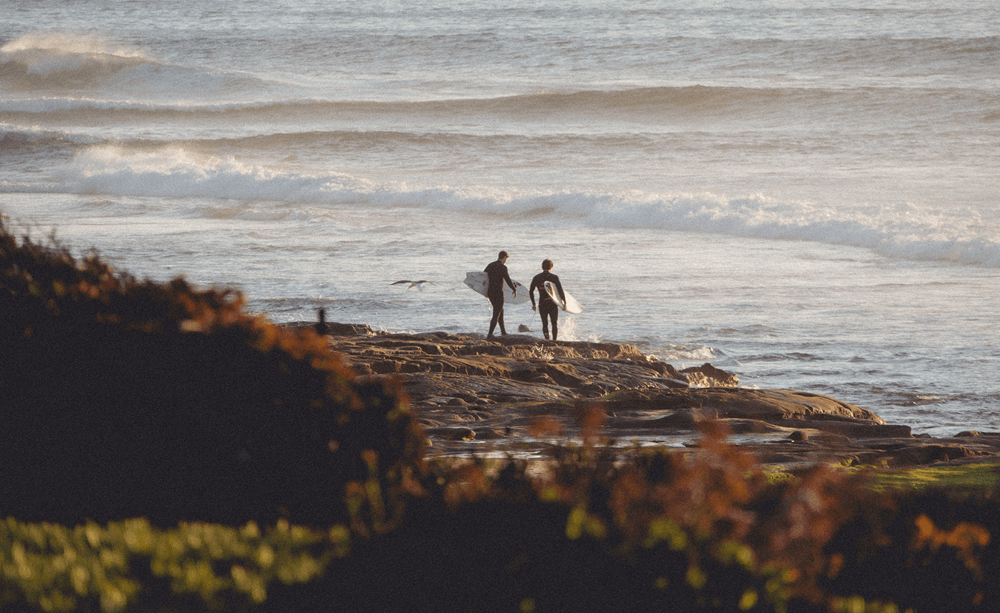 Two surfers in wetsuits carrying surfboards walk along a rocky shoreline toward the ocean at sunset, with gentle waves rolling in and coastal vegetation in the foreground